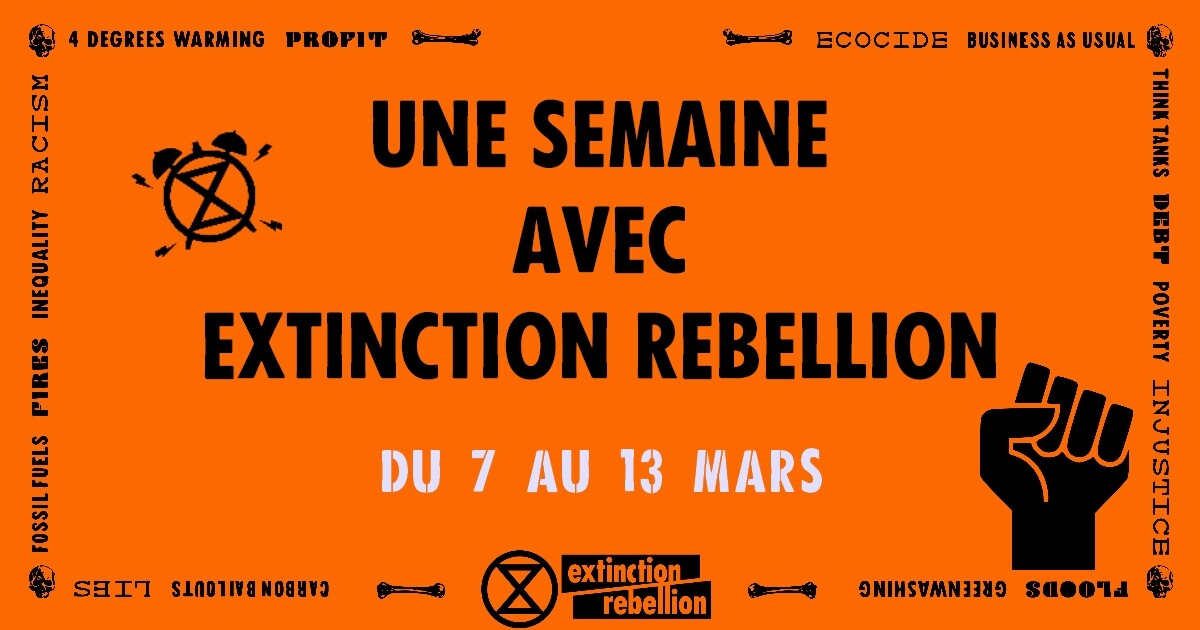 Изображение / фотография