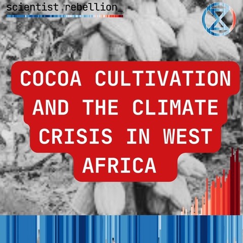 scientist rebellion 

COCOA CULTIVATION AND THE CLIMATE CRISIS IN WEST AFRICA

The background is a black and white image of cocoa beans. The text is in white on a red background. The warming stripes, showing the drastic heating happening now, are in the foreground. 
