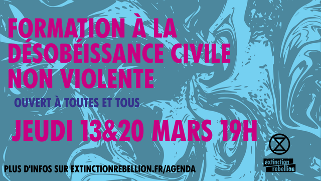 2ème partie de la formation à la désobéissance civile 